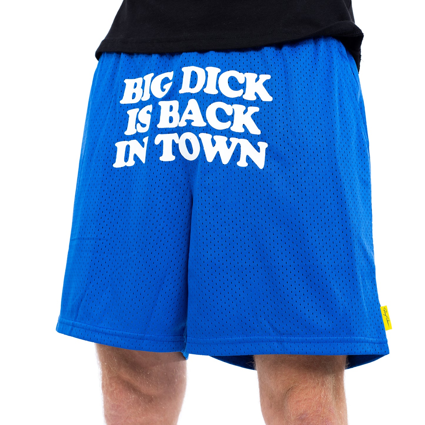 Back In Town Blue Mesh Shorts