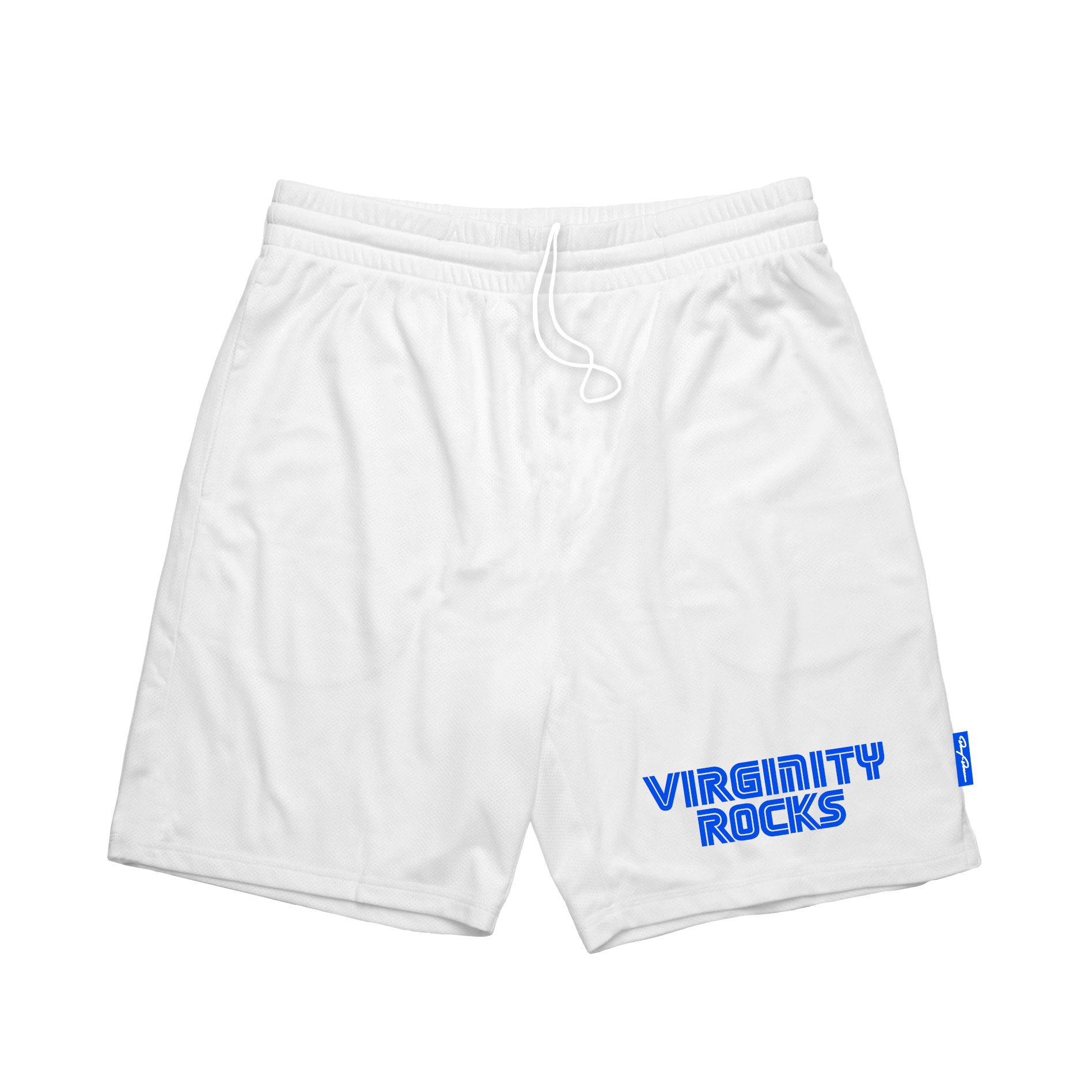 ALOUND TWOTUCK MESH SHORTS Sサイズ WORK HARDER MESH SHORTS (MID THIGH CUT) - BLUE