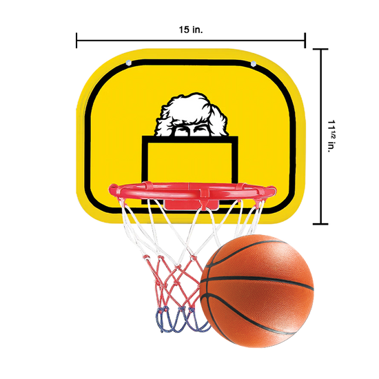 Load image into Gallery viewer, Danny Duncan Mini Basketball Hoop

