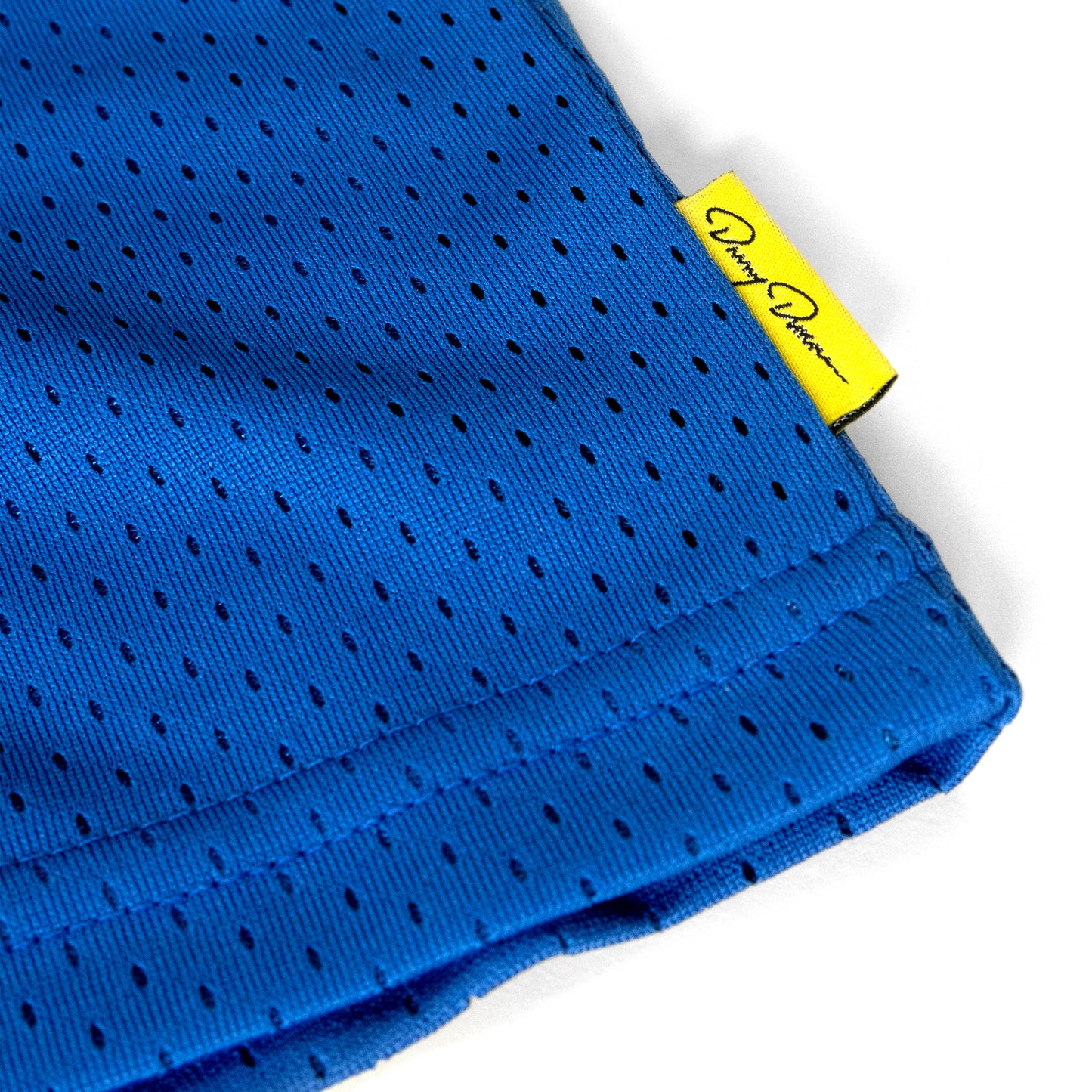Back In Town Blue Mesh Shorts