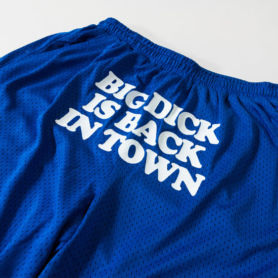Back In Town Blue Mesh Shorts