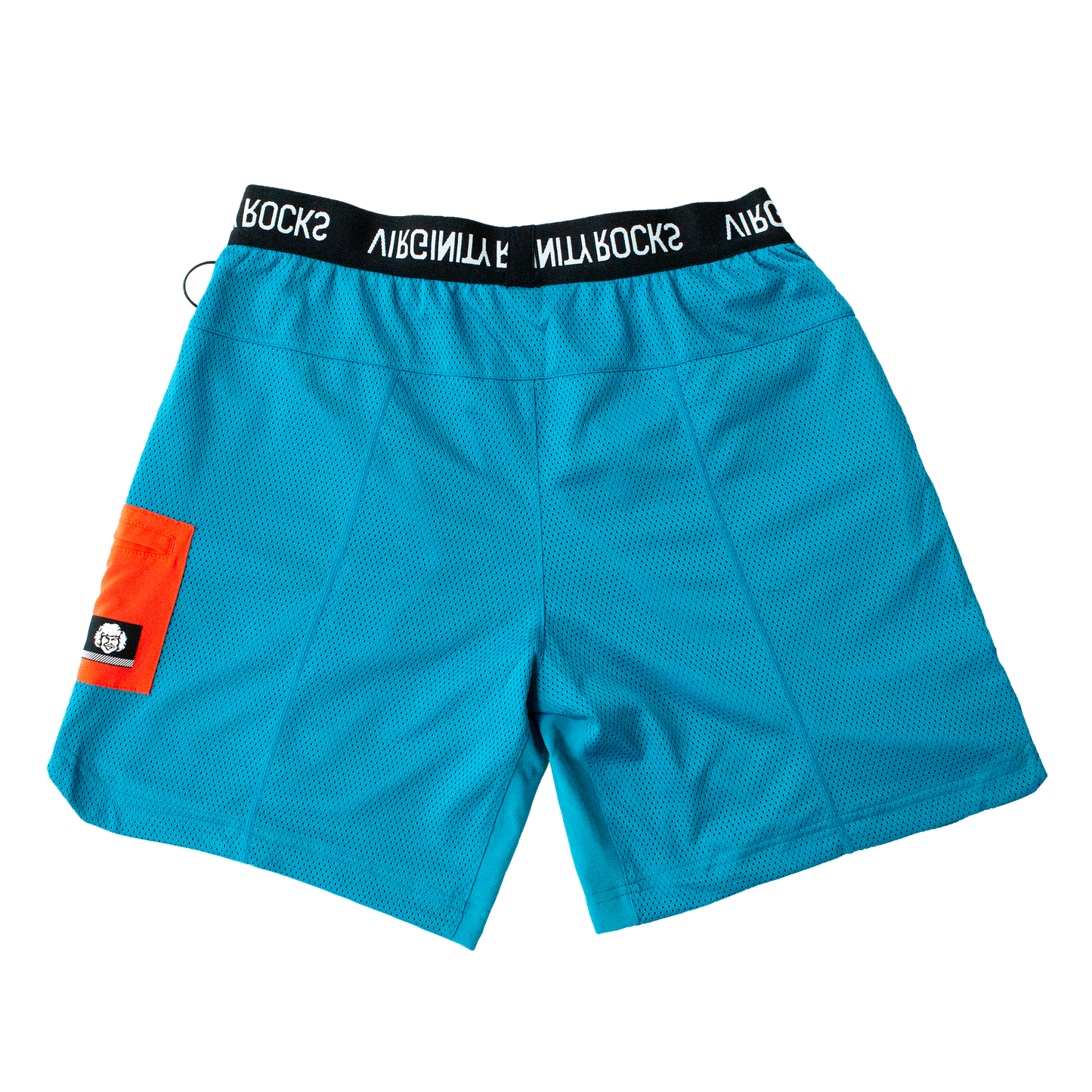 Danny Duncan Teal Shorts