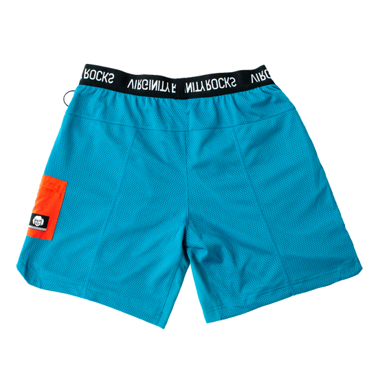 Danny Duncan Teal Shorts